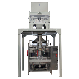 VFS1100 Packing Machine unit