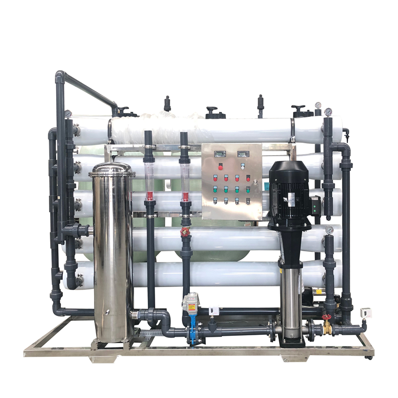 2000L/H  pure water treatment